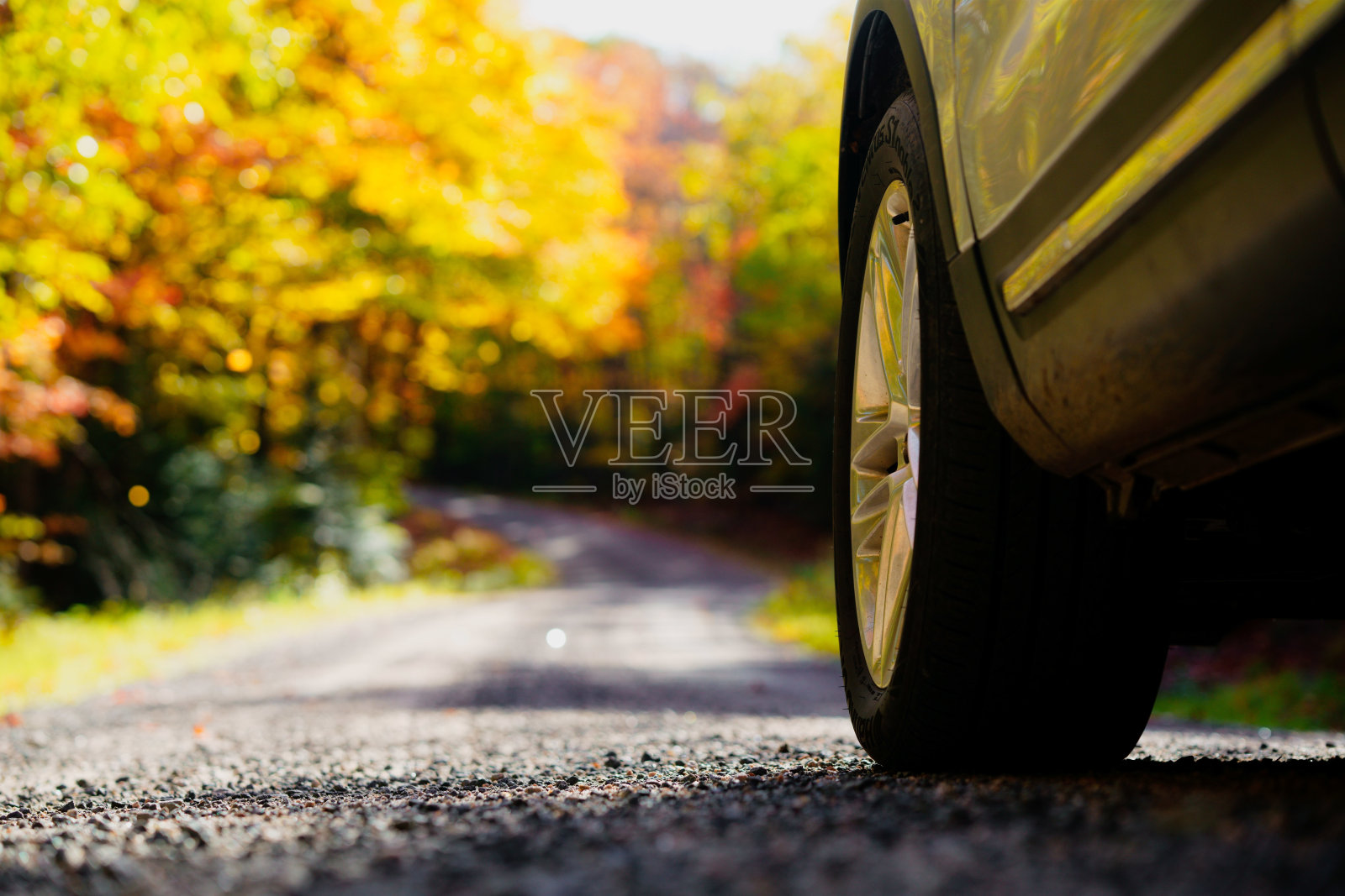 特写:在阳光明媚的秋天，越野车轮胎行驶在空旷的森林道路上照片摄影图片