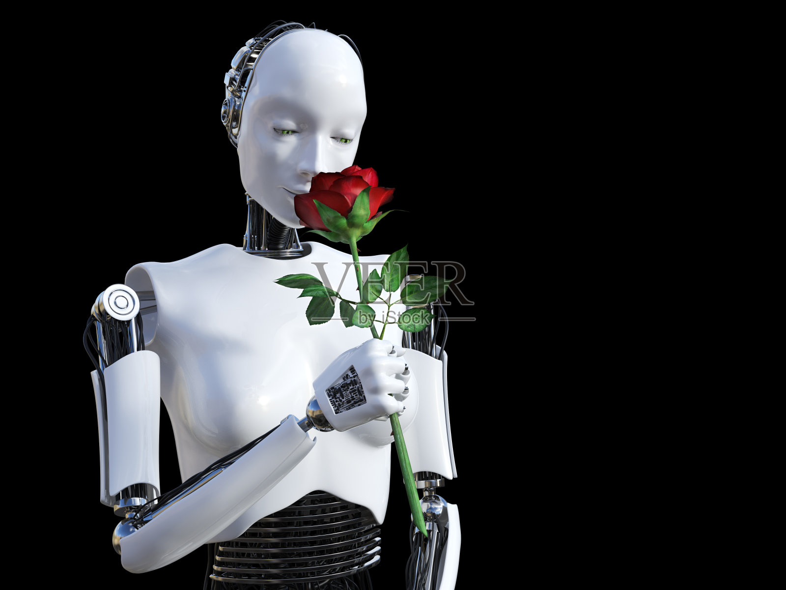 女性机器人闻红玫瑰的3D渲染。照片摄影图片