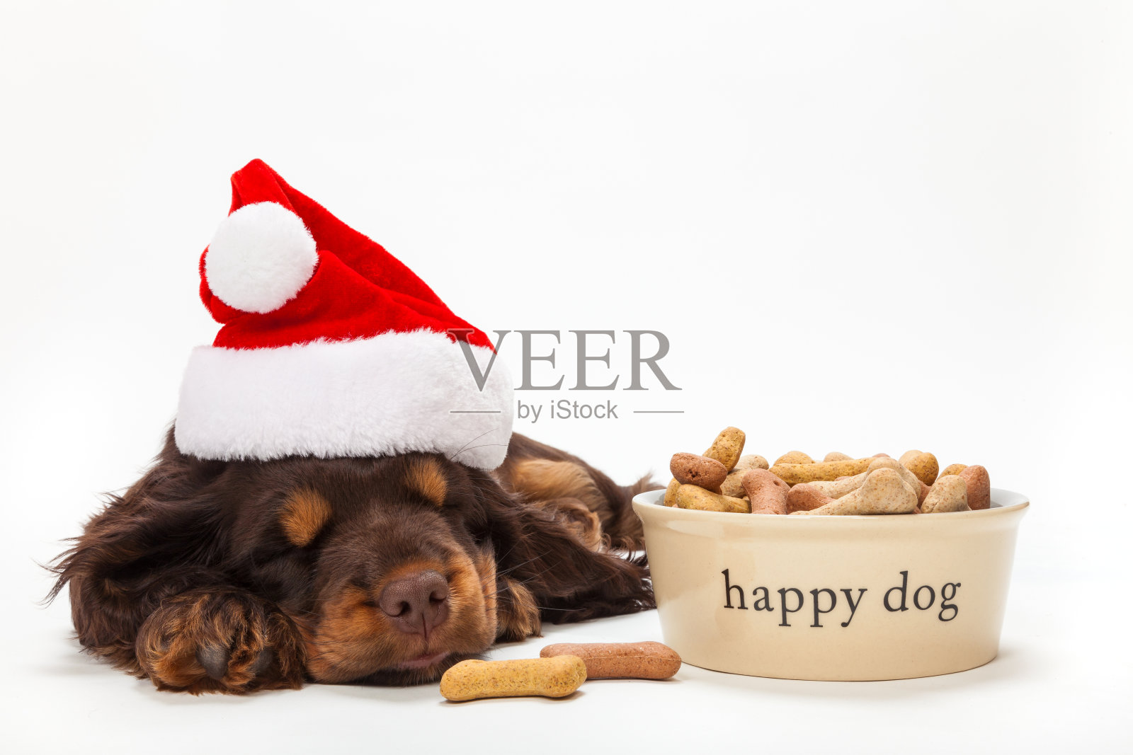 可爱的可卡犬小狗戴着圣诞老人的帽子在白色的背景下睡觉，旁边是一个装满骨头形状的饼干的食物碗照片摄影图片