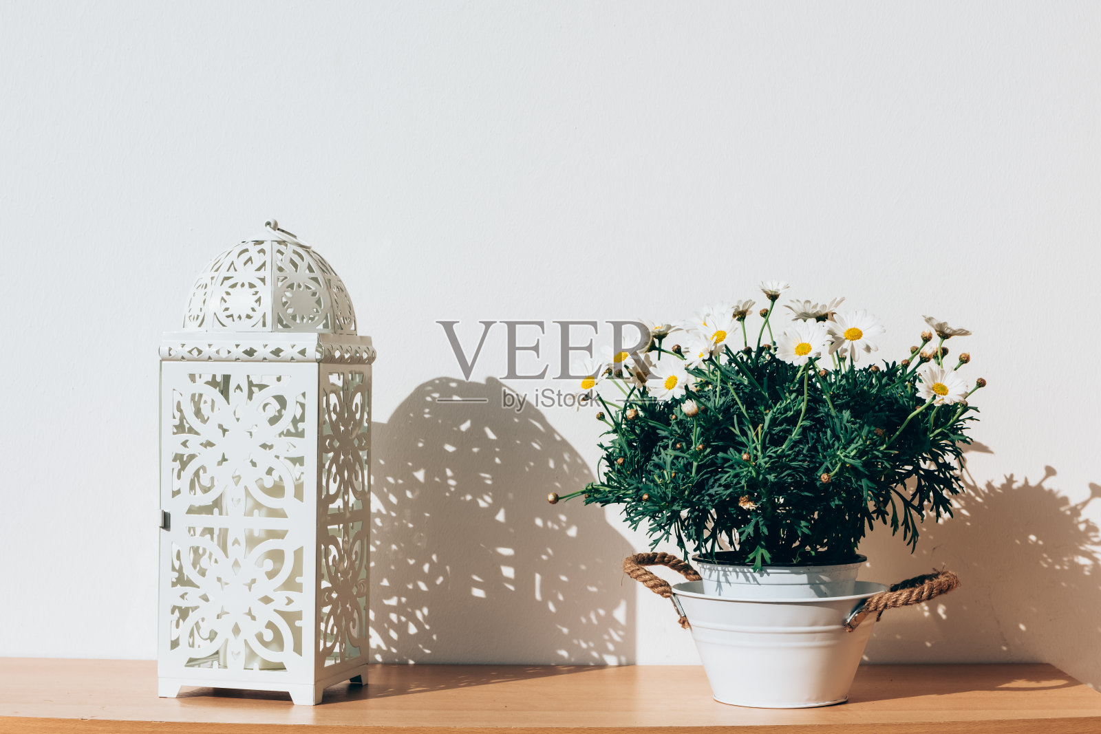 一盆白色雏菊，旁边是一盏雕花灯笼照片摄影图片