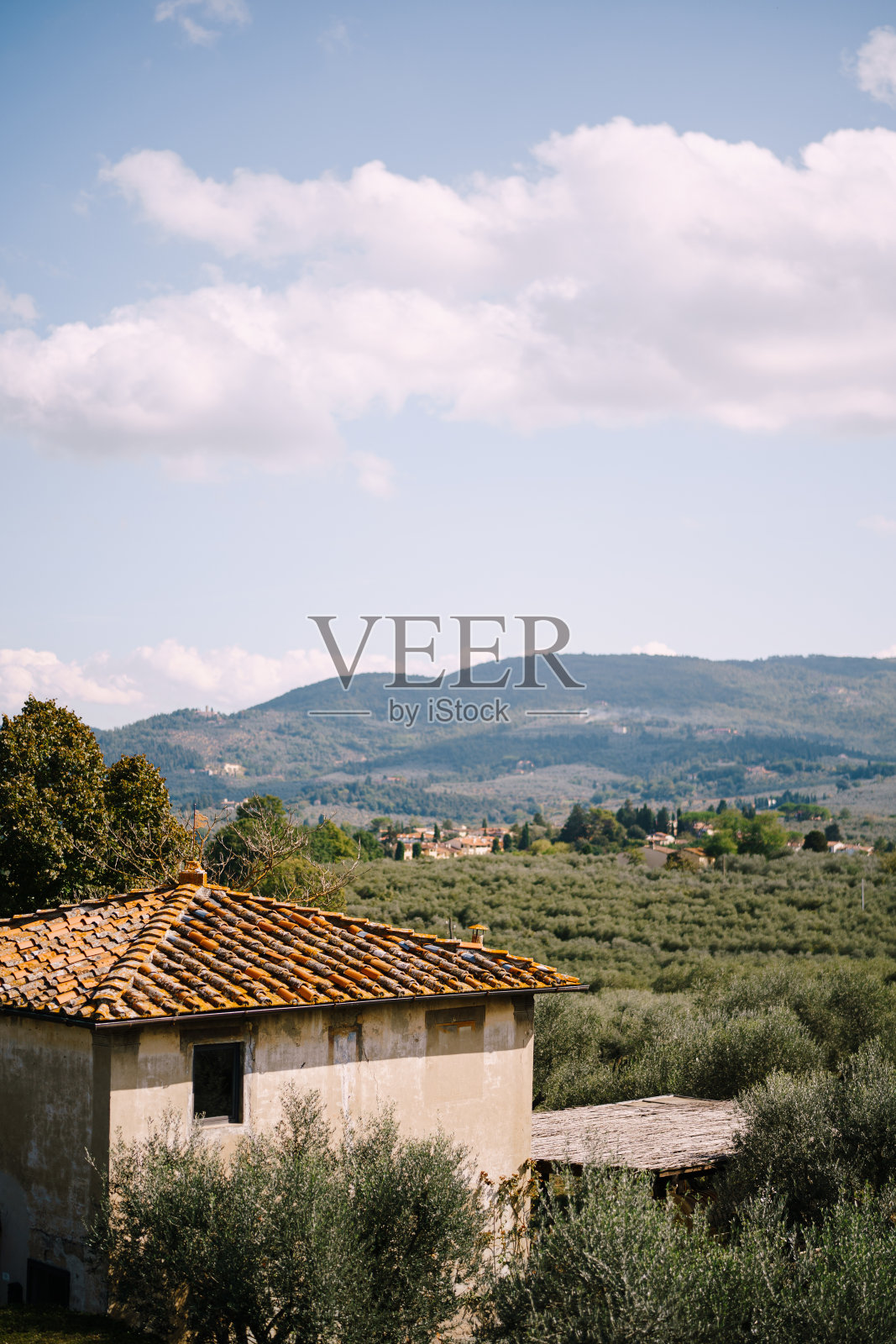 意大利利利亚诺葡萄酒庄园(Lilliano Wine Estate)美第奇别墅(Medici Villa)上的橄榄林和一座古老建筑照片摄影图片