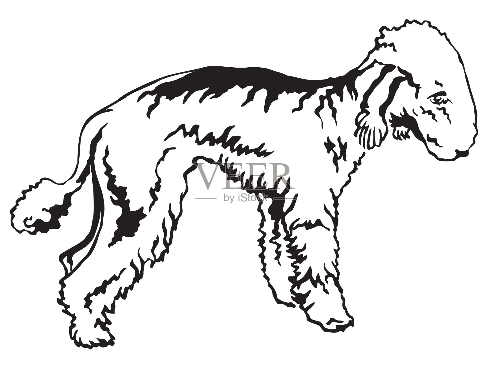 向量卡通设定的约克郡小猎犬插画图片素材_ID:406309030-Veer图库