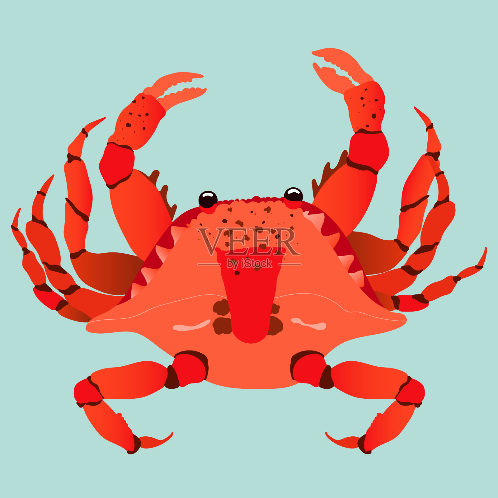 红蟹现代手绘插图。时尚的孤立矢量设计在一个柔和的绿色背景。红色充满活力的螃蟹自上而下的观点。海鲜和贝类的概念。设计元素图片