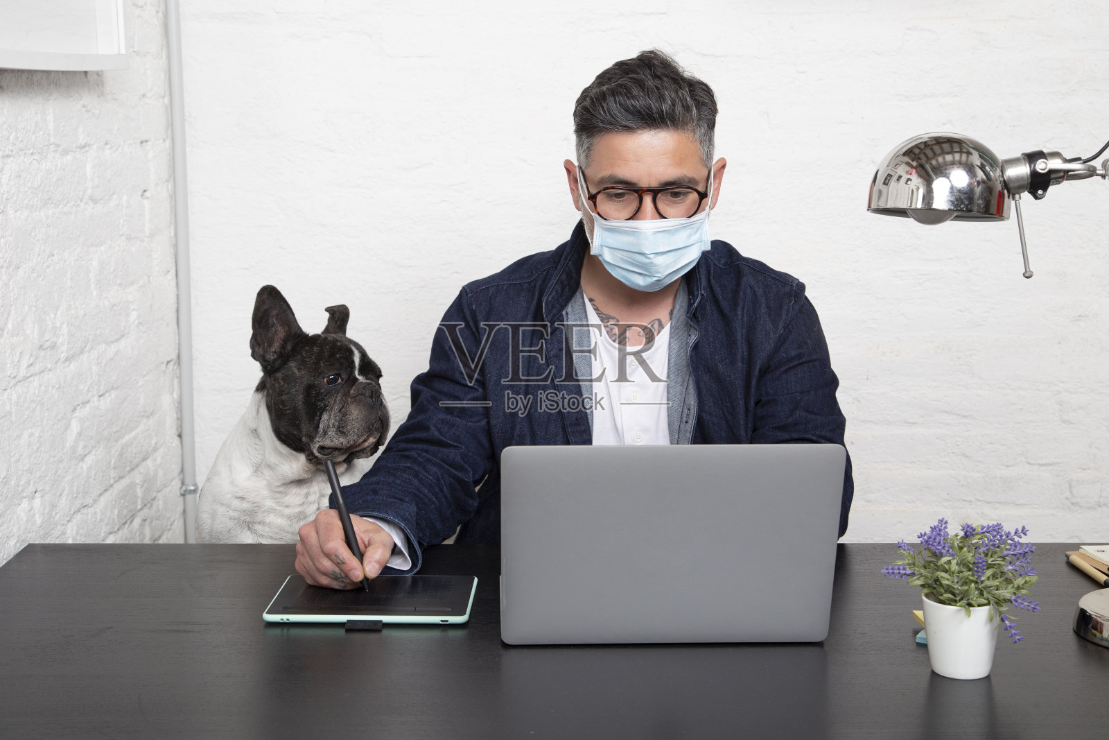 带着医用口罩的人在家和他的狗一起坐在工作空间里进行创造性的设计。照片摄影图片