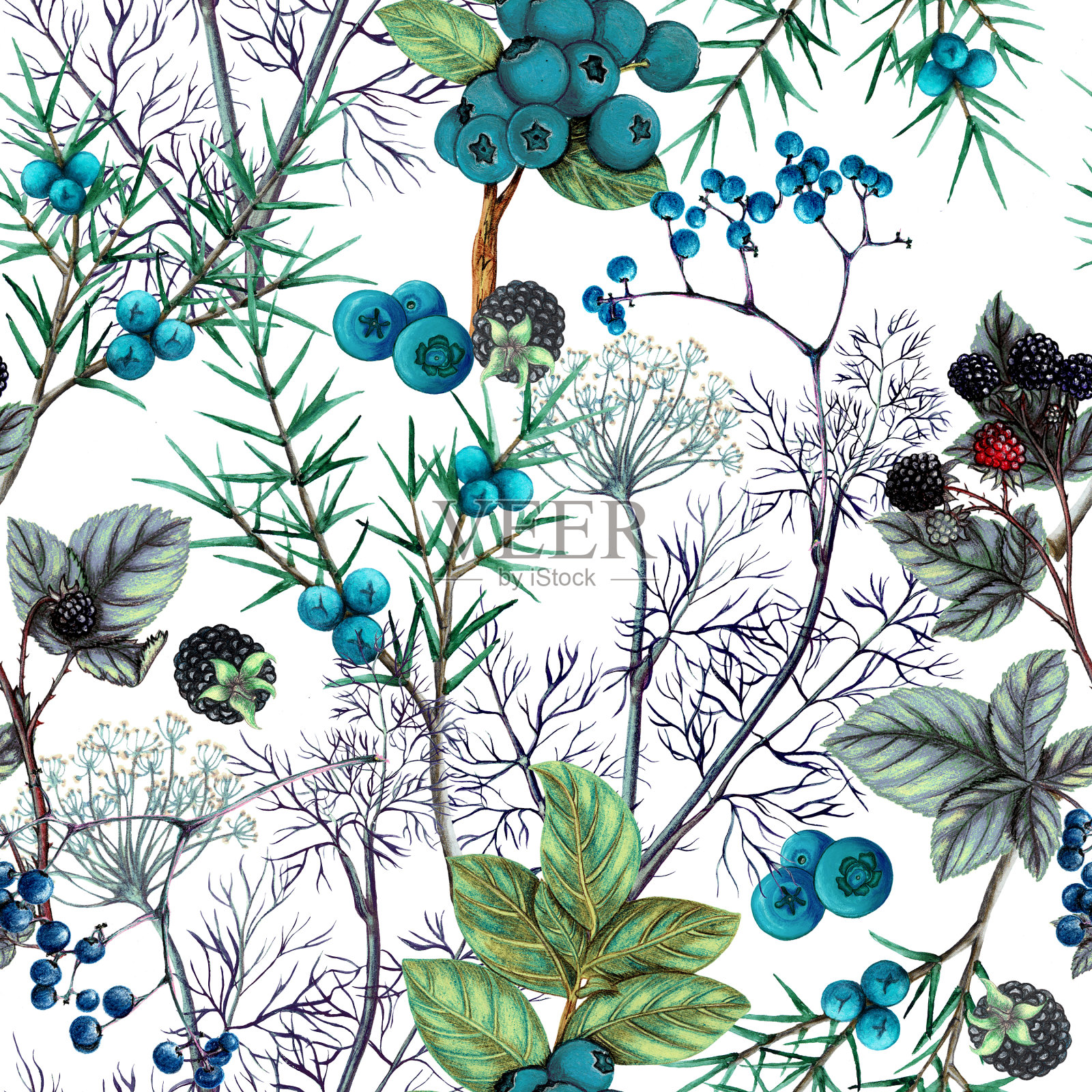 森林浆果的植物水彩图案插画图片素材