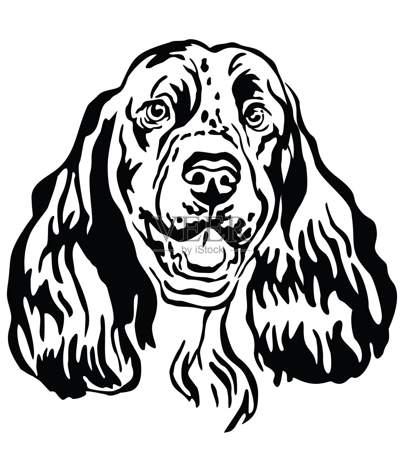 装饰肖像施普林格西班牙猎犬矢量插图设计元素图片