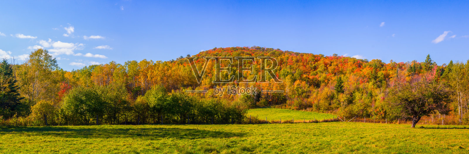 全景-秋天的风景-田野与山在背景照片摄影图片