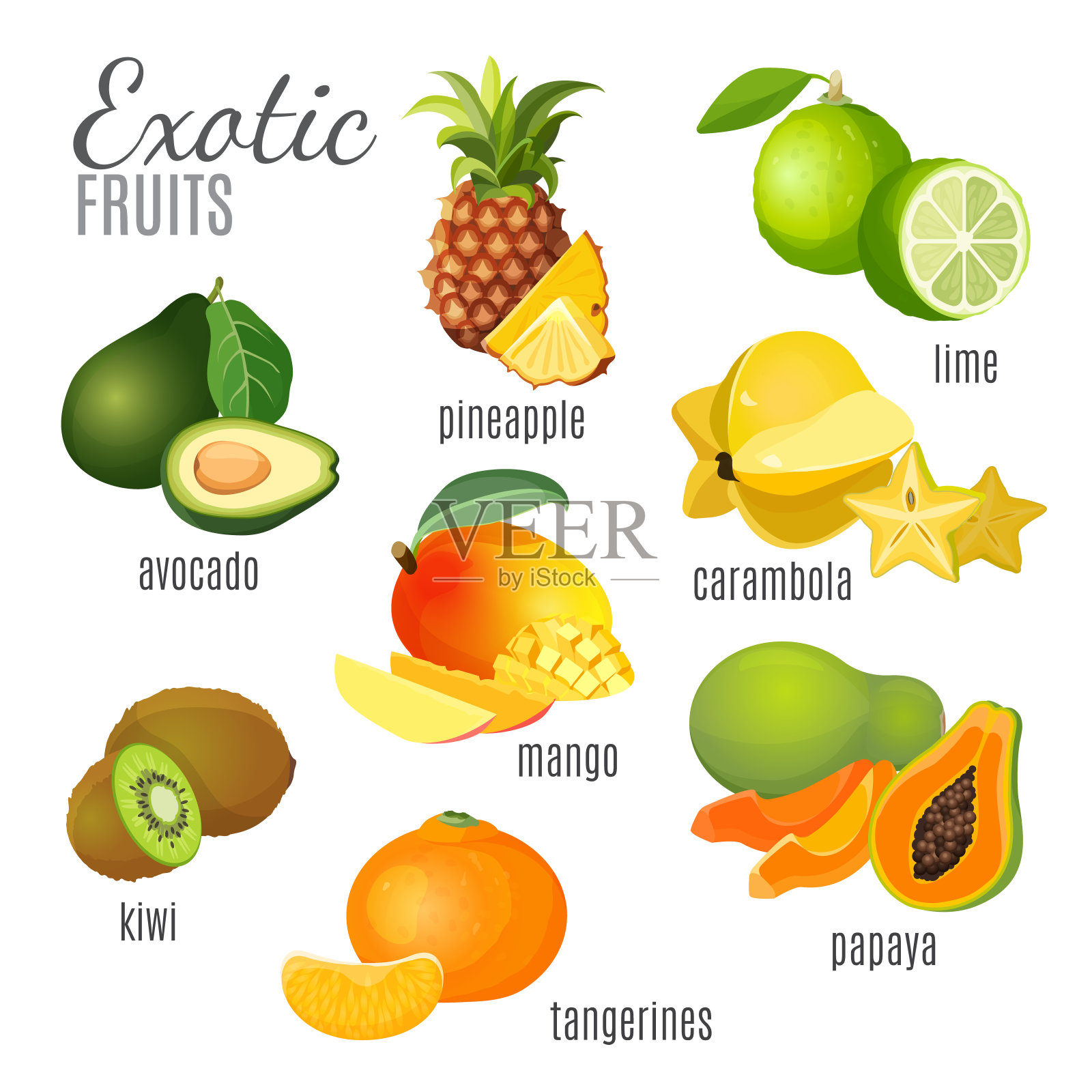 异国水果，鳄梨，菠萝，木瓜插画图片素材