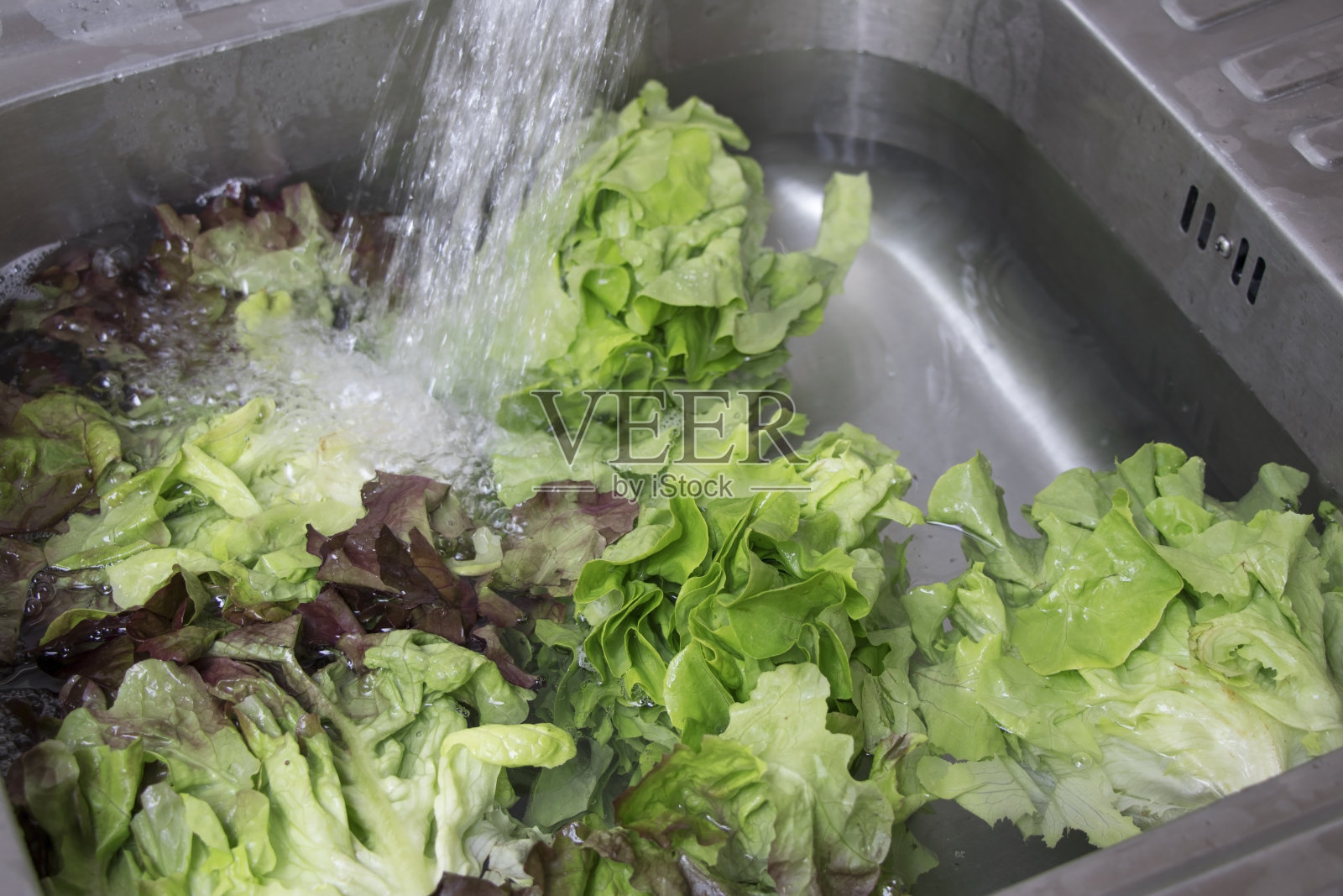 在水池里用水浸泡过绿橡木。清洗蔬菜，安全食用。照片摄影图片