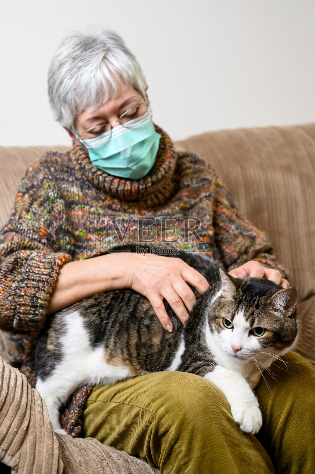 疫情爆发导致的冠状病毒社交距离。年长妇女戴上防护面罩，在家抚摸她的猫。照片摄影图片