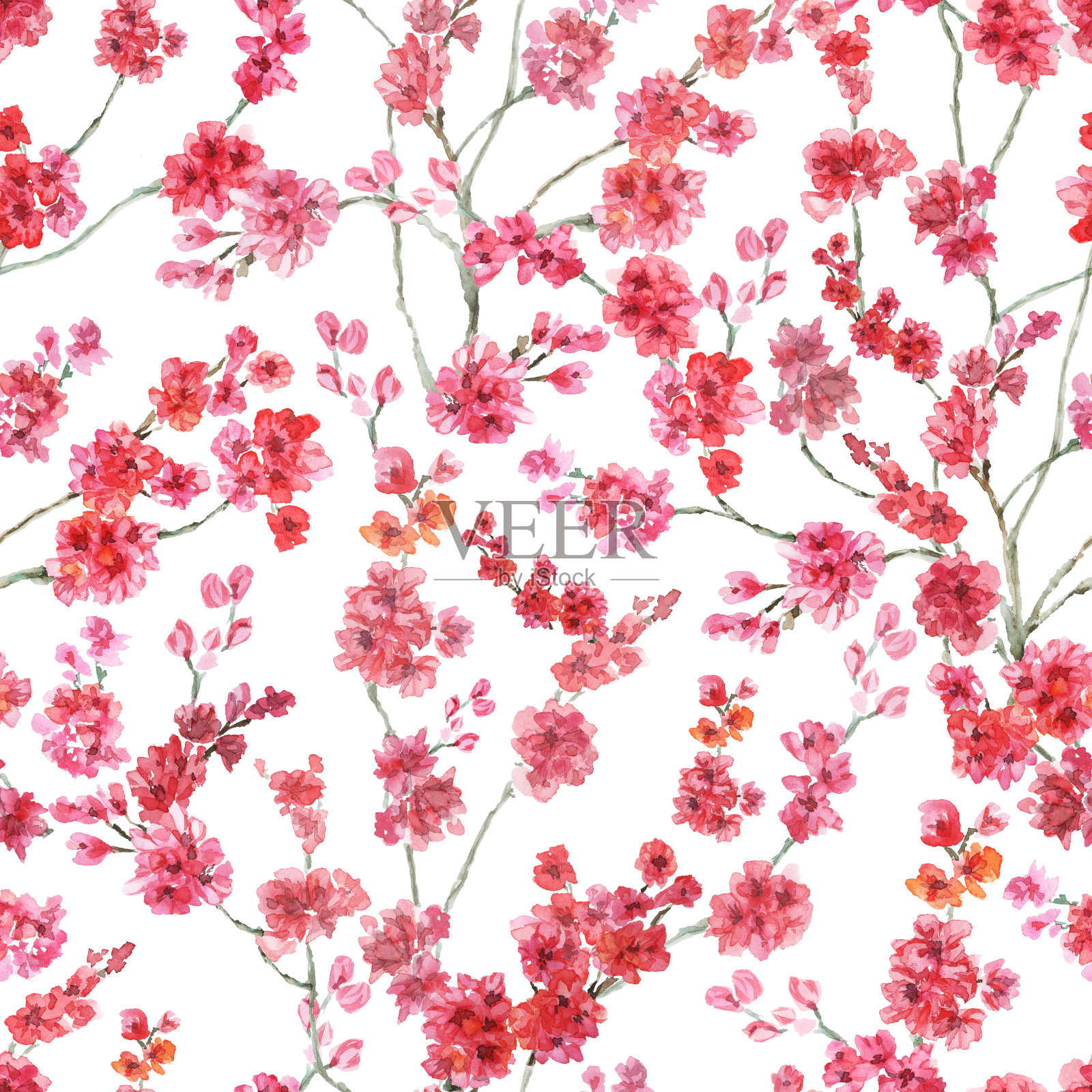 白色背景上的樱花剪影。无缝模式。插画图片素材