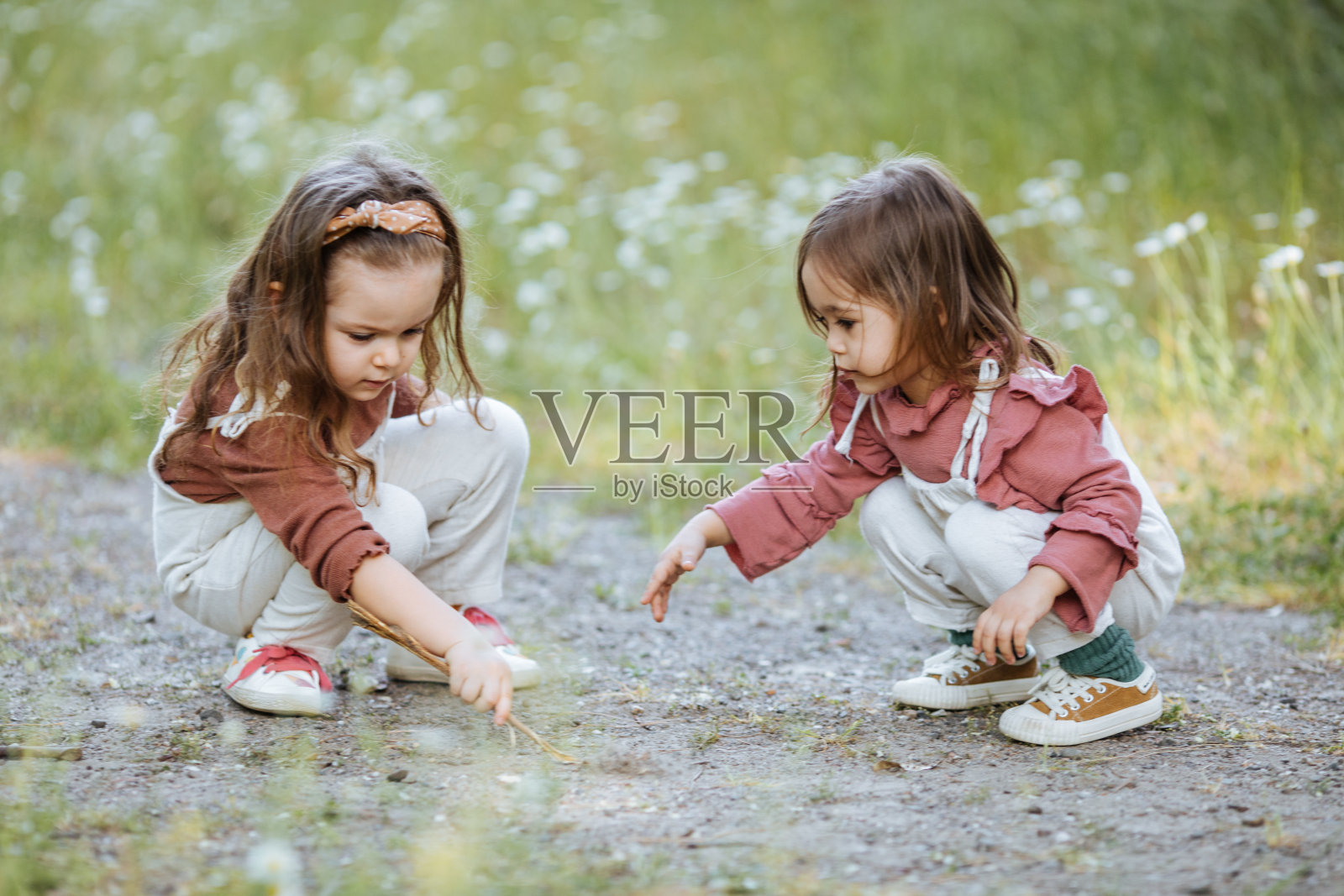 两个小女孩在摘雏菊照片摄影图片
