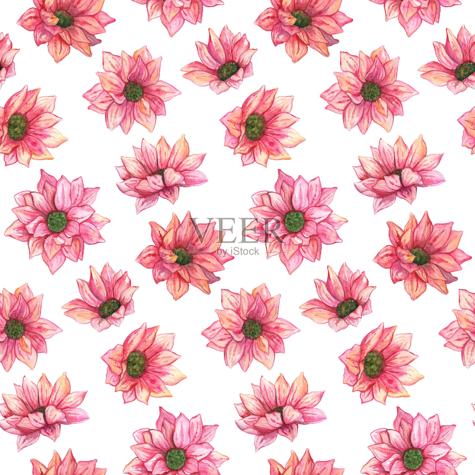水彩粉红菊花无缝花纹纹理背景插画图片素材
