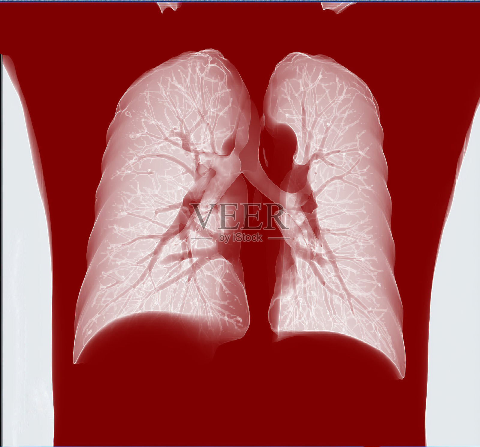 红色背景肺的CT扫描三维。照片摄影图片