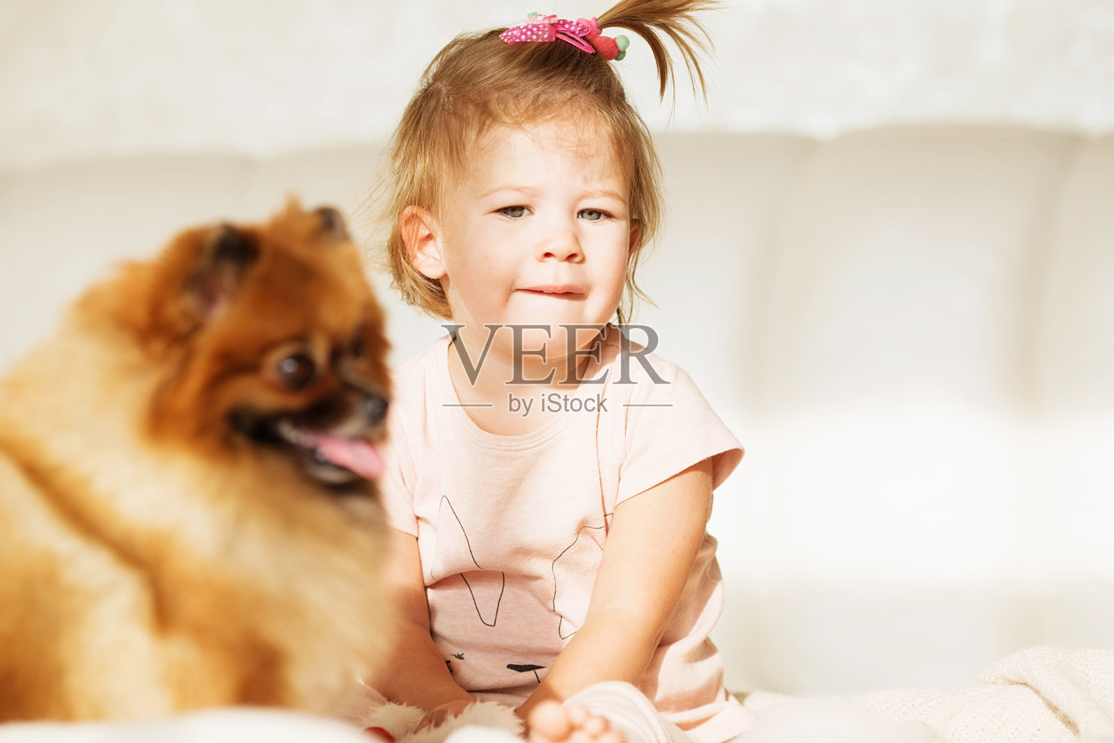 笑的小女孩。美丽的小女孩和博美犬玩耍的肖像照片摄影图片