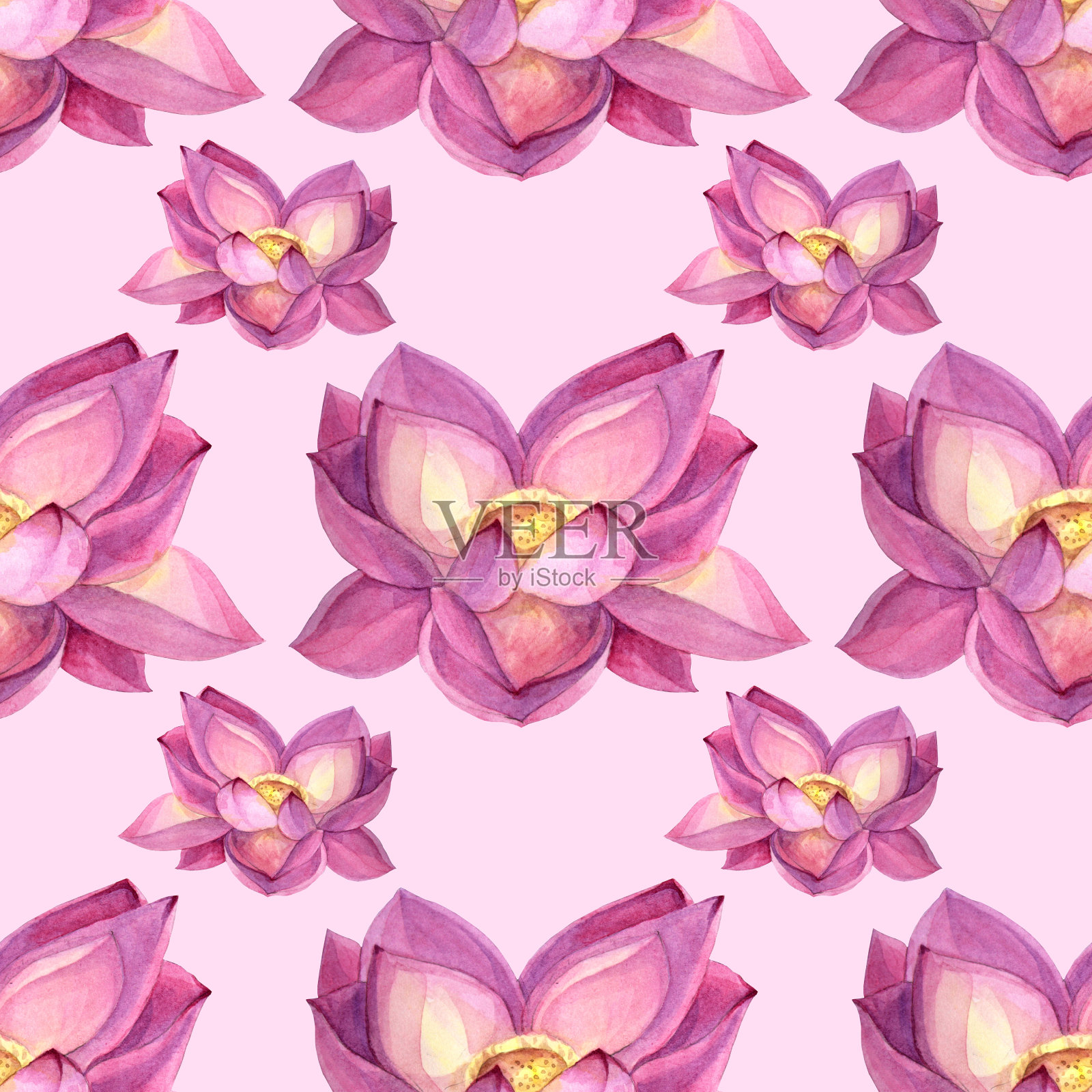 无缝图案水彩手绘粉色花盛开百合荷花花瓣和蓓蕾在粉红色的背景艺术创意包装或纺织设计元素图片