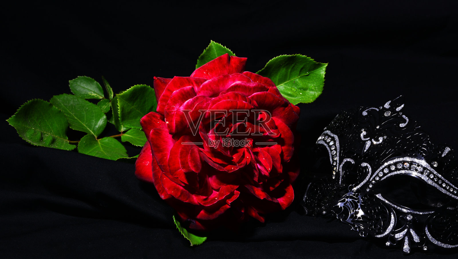 一朵红玫瑰和一个黑面具照片摄影图片