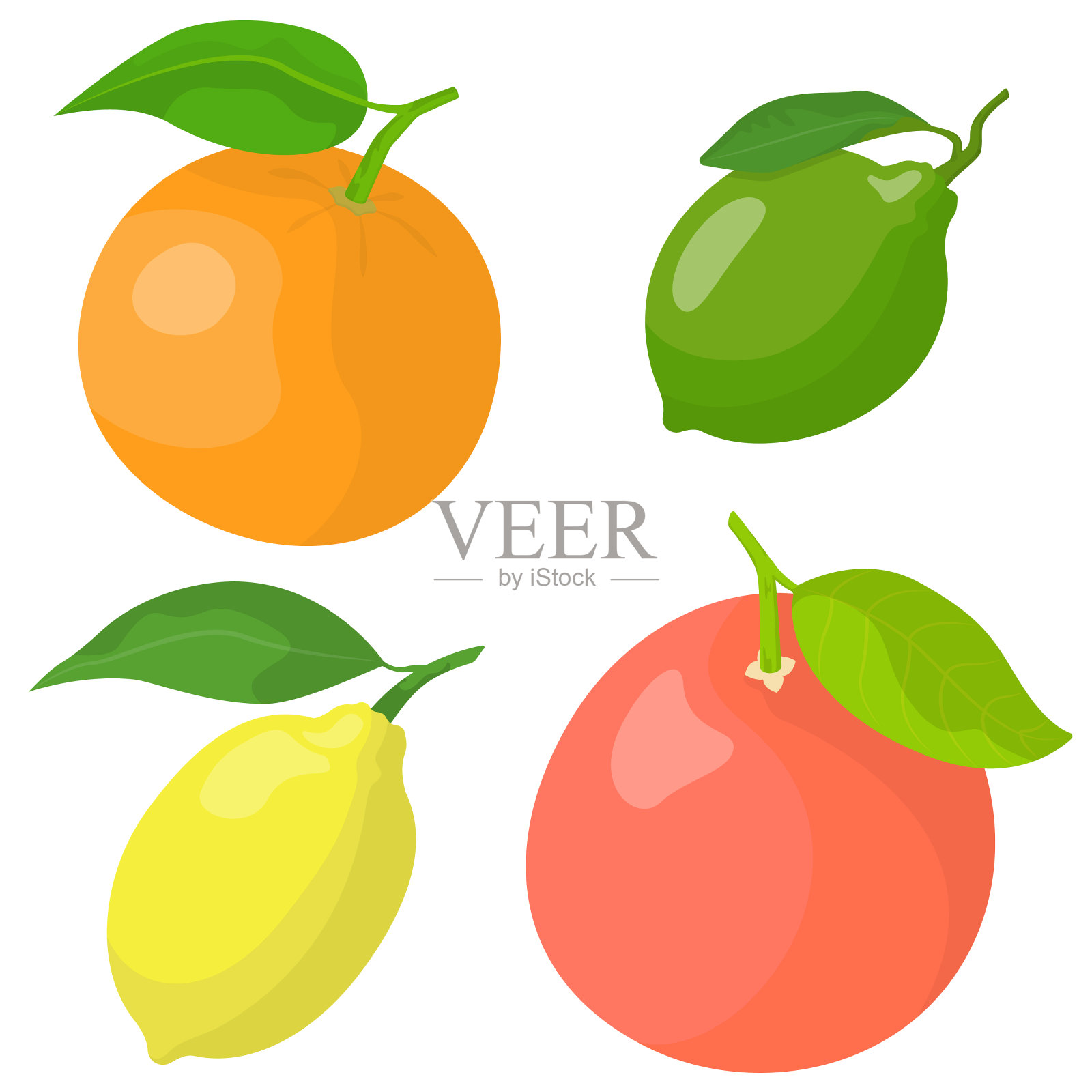 一套柑橘类水果。设计元素图片