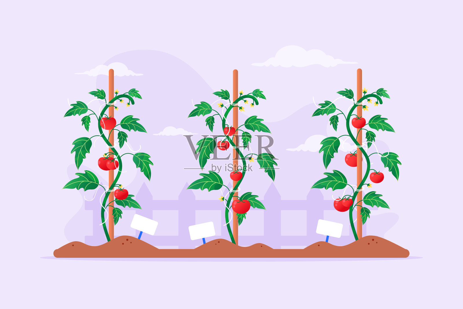 番茄花园插画图片素材