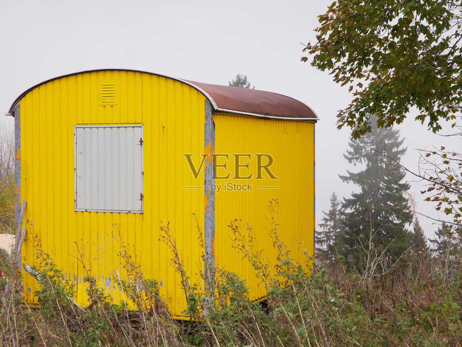 在雾蒙蒙的森林中风化的黄色小屋。照片摄影图片