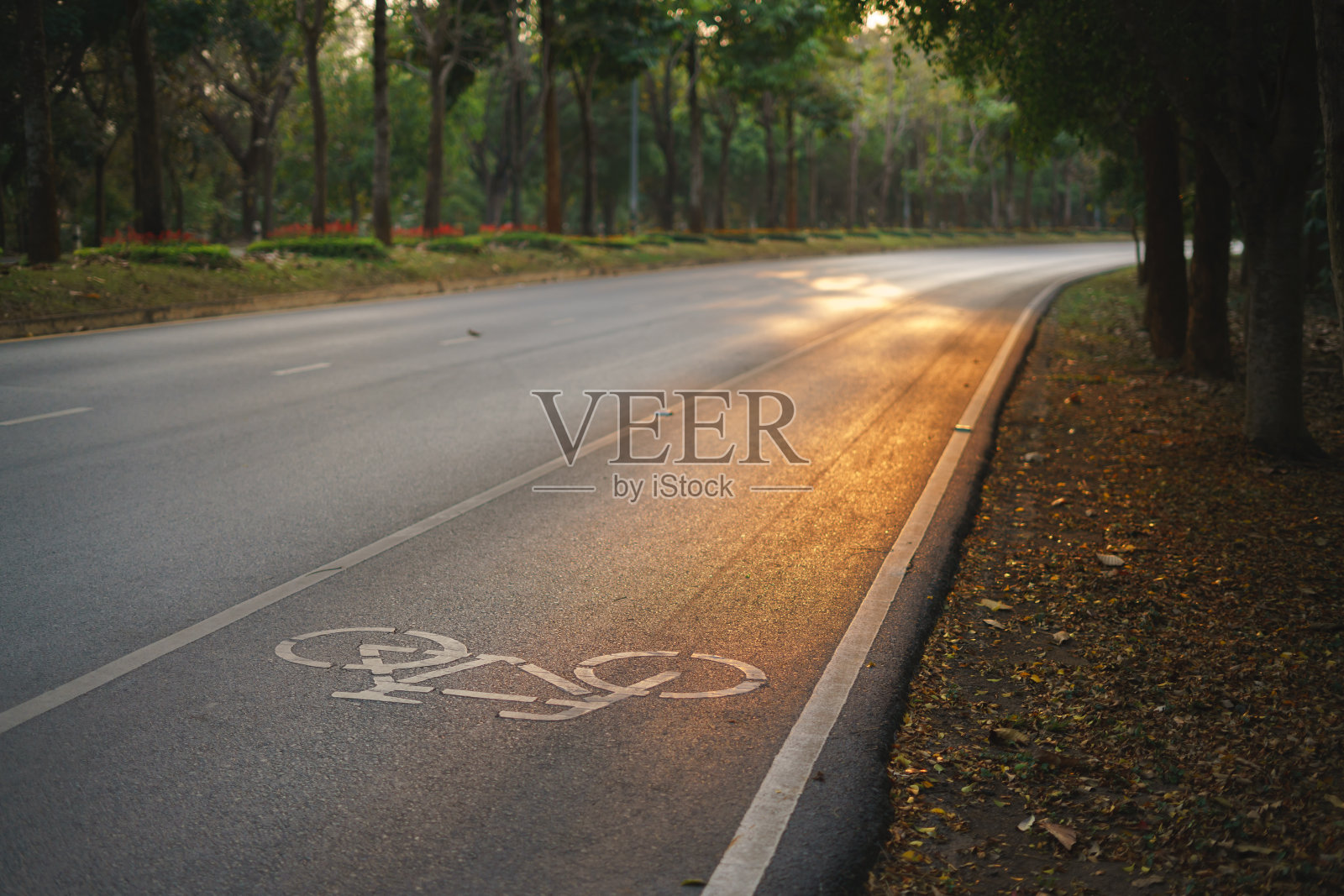 泰国公立大学内的自行车道照片摄影图片