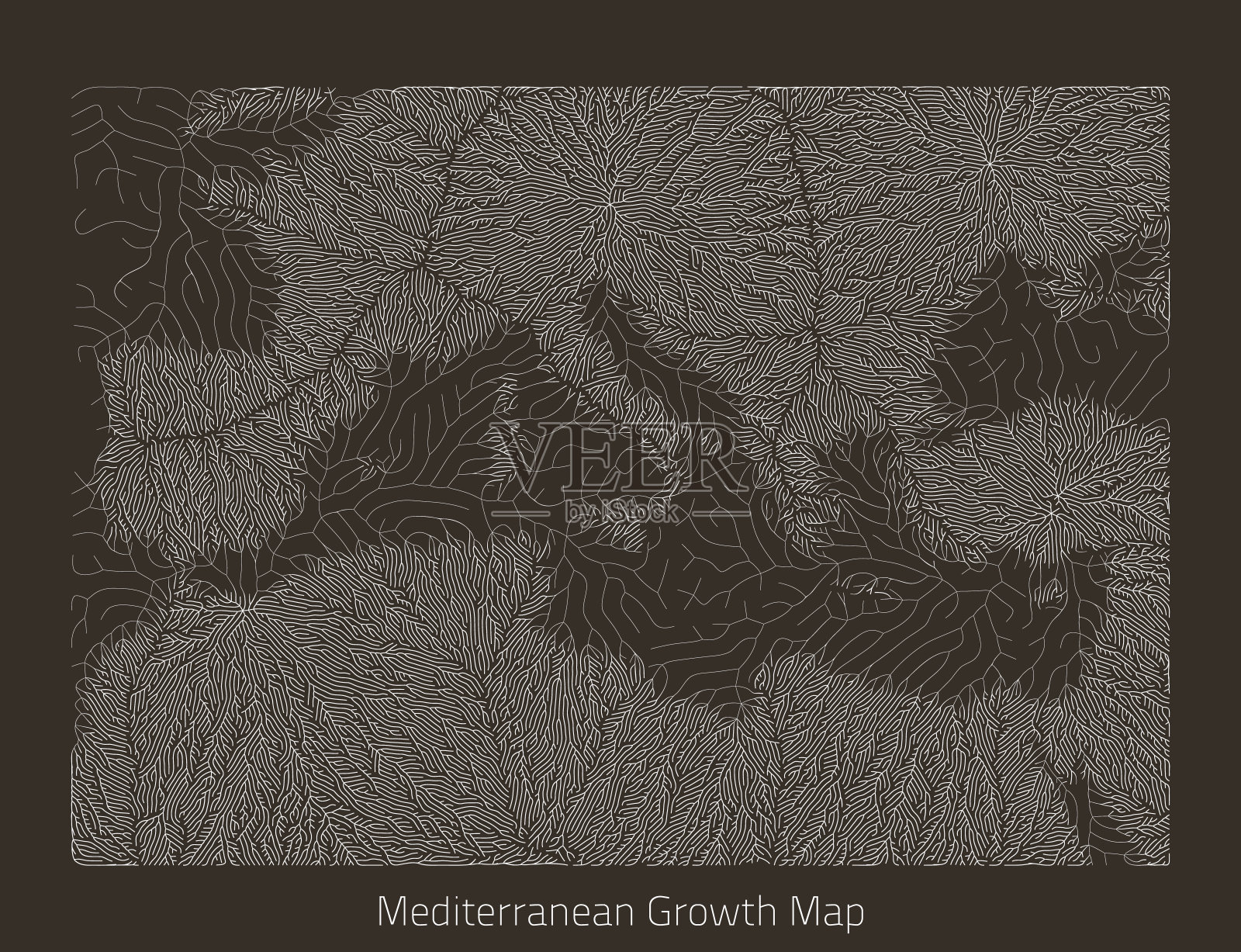 地中海矢量地图。大陆形式的生成性生长结构。有机纹理与地理轮廓。插画图片素材