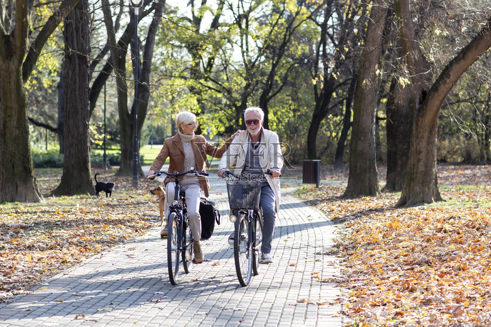 成熟的适合夫妇骑自行车通过公园照片摄影图片