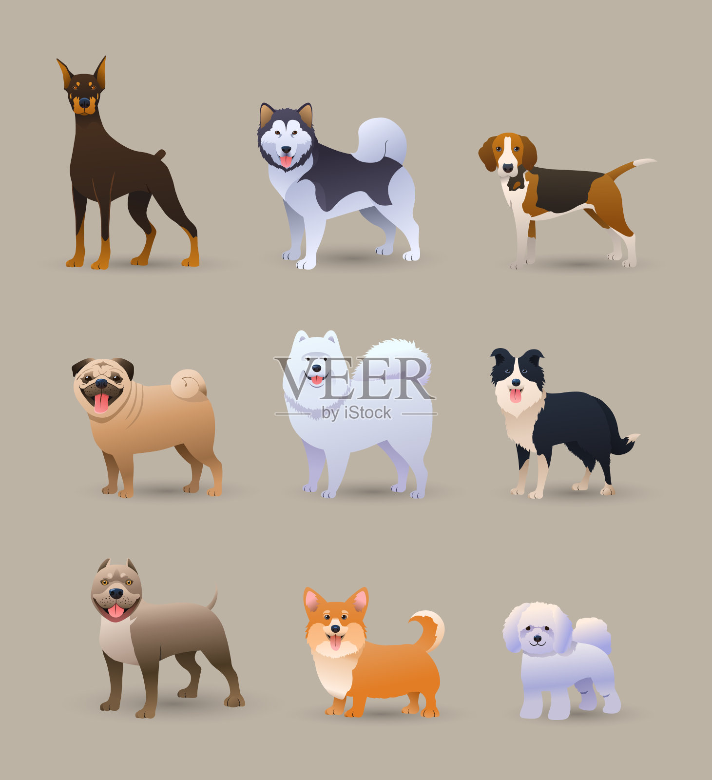 九种不同品种的狗设计元素图片
