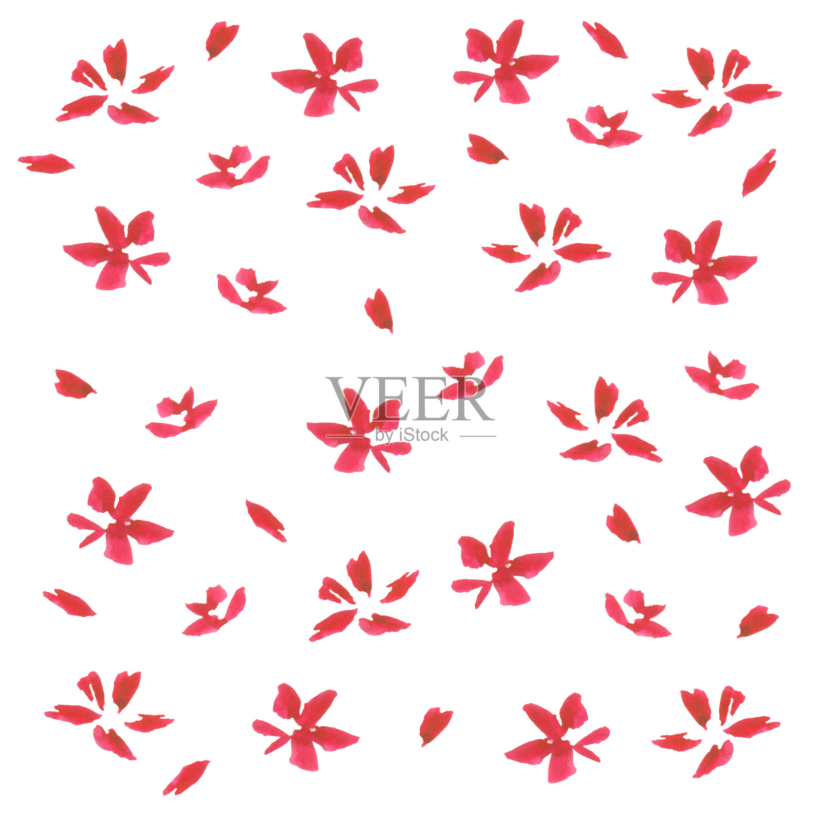 红色水彩花花瓣孤立在白色背景插画图片素材