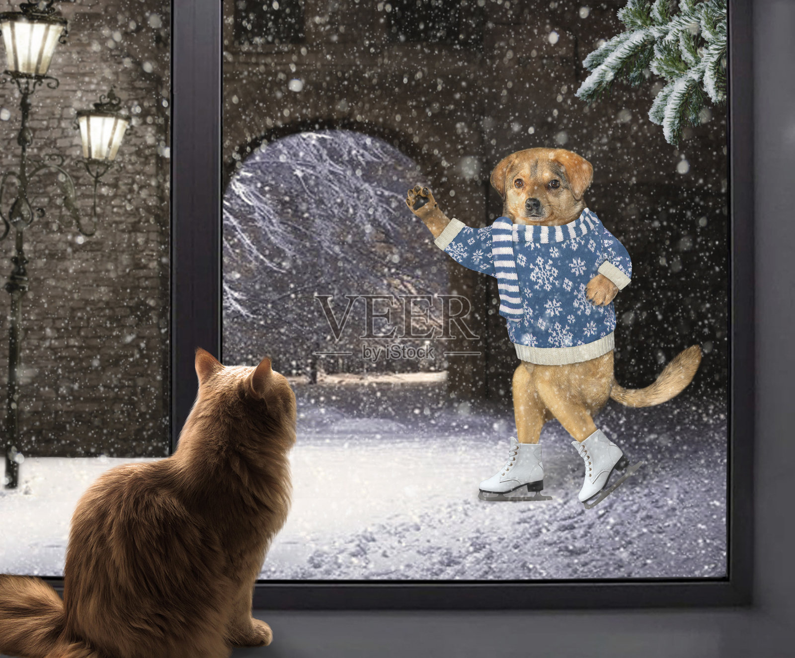 窗台上的猫向窗外看插画图片素材