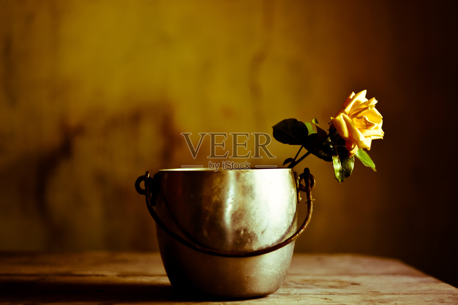 旧花盆里的一朵黄玫瑰照片摄影图片