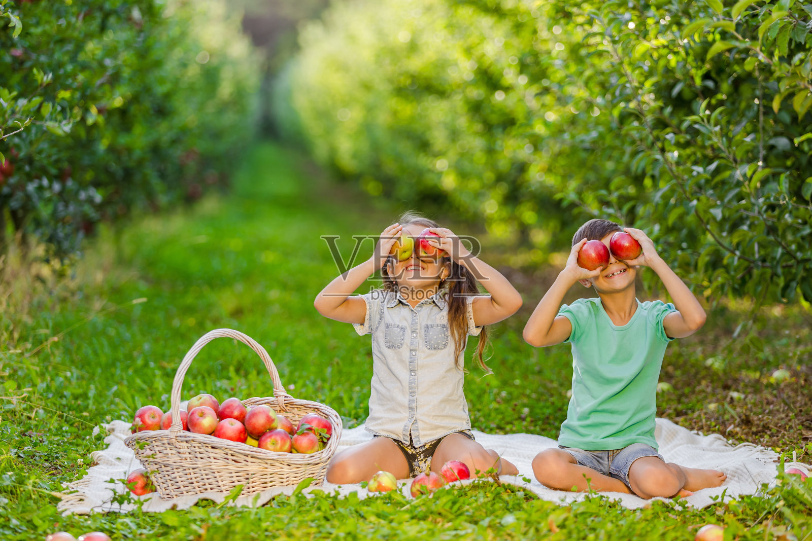 孩子们在秋天的花园里玩耍，把苹果放在眼前，玩得很开心。照片摄影图片