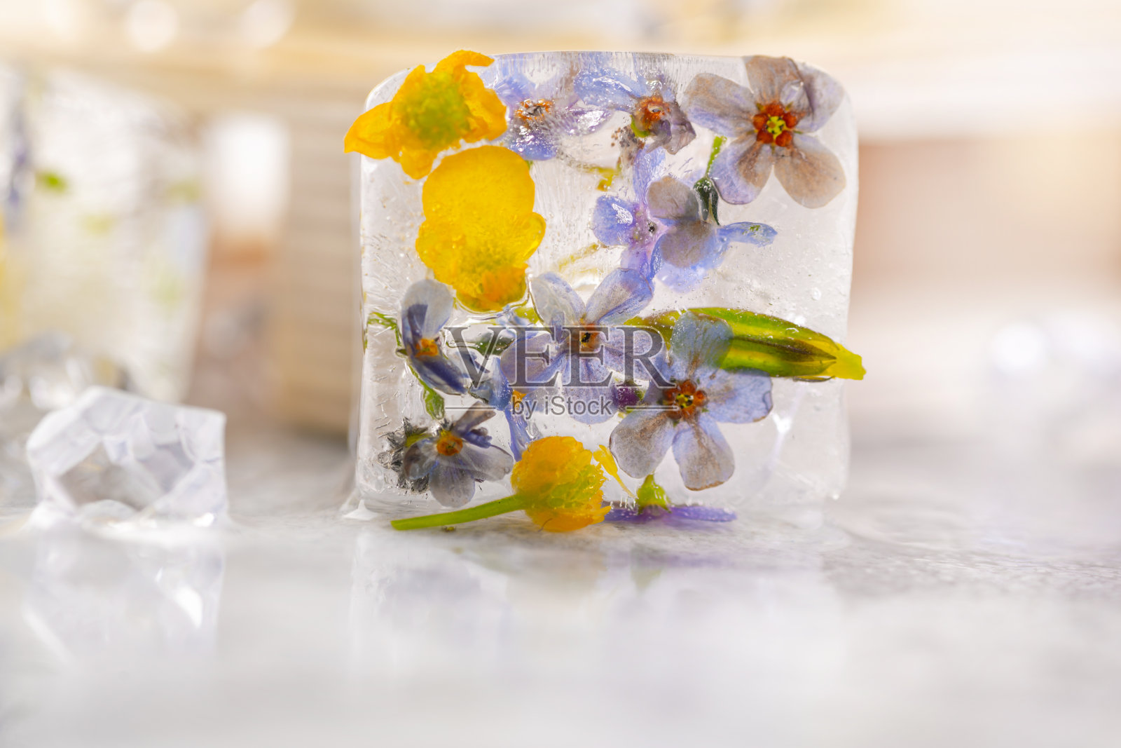 透明的冰块，里面有冰冻的花朵。照片摄影图片