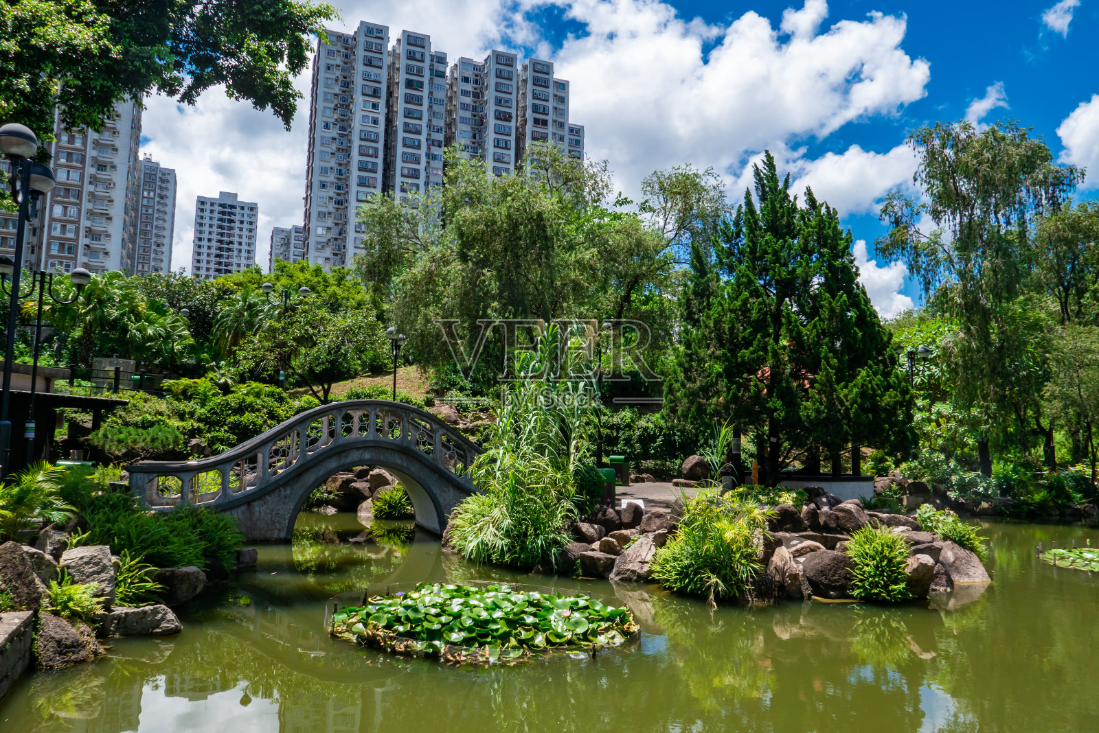 香港沙田公园花园池塘照片摄影图片