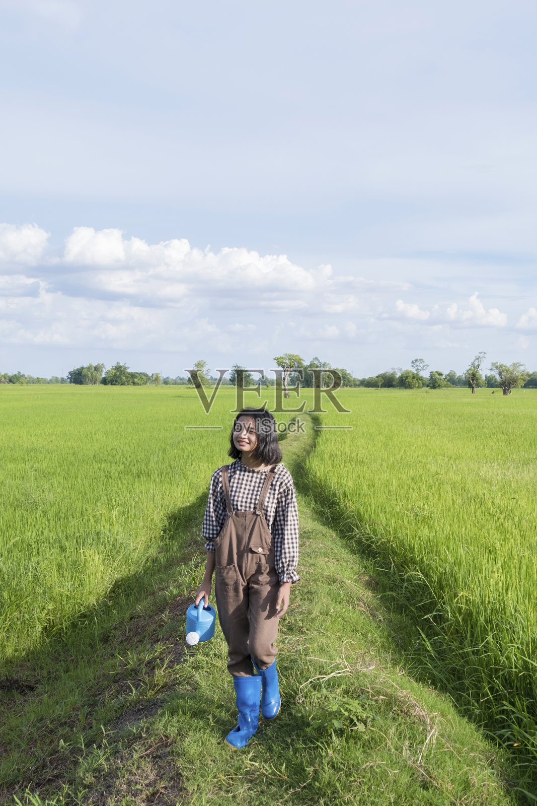 亚洲小女孩拿着喷壶站在美丽的稻田里，大自然的背景。照片摄影图片