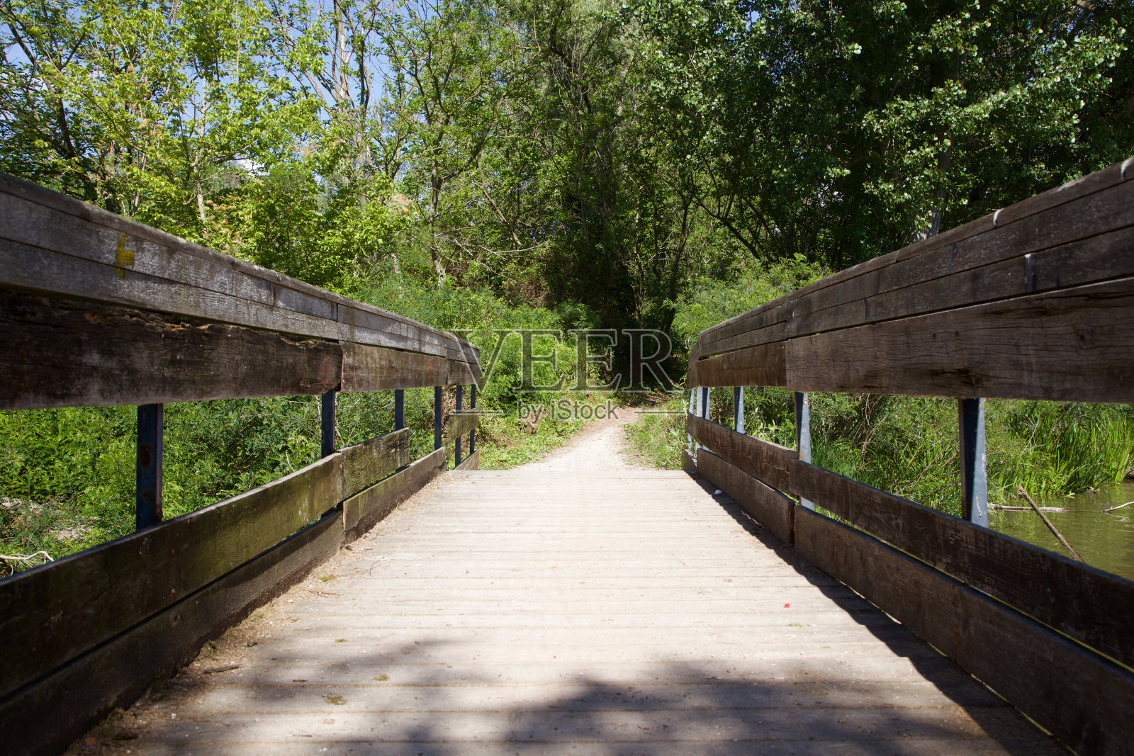 木桥上的小溪在森林，在乡村，在夏天照片摄影图片