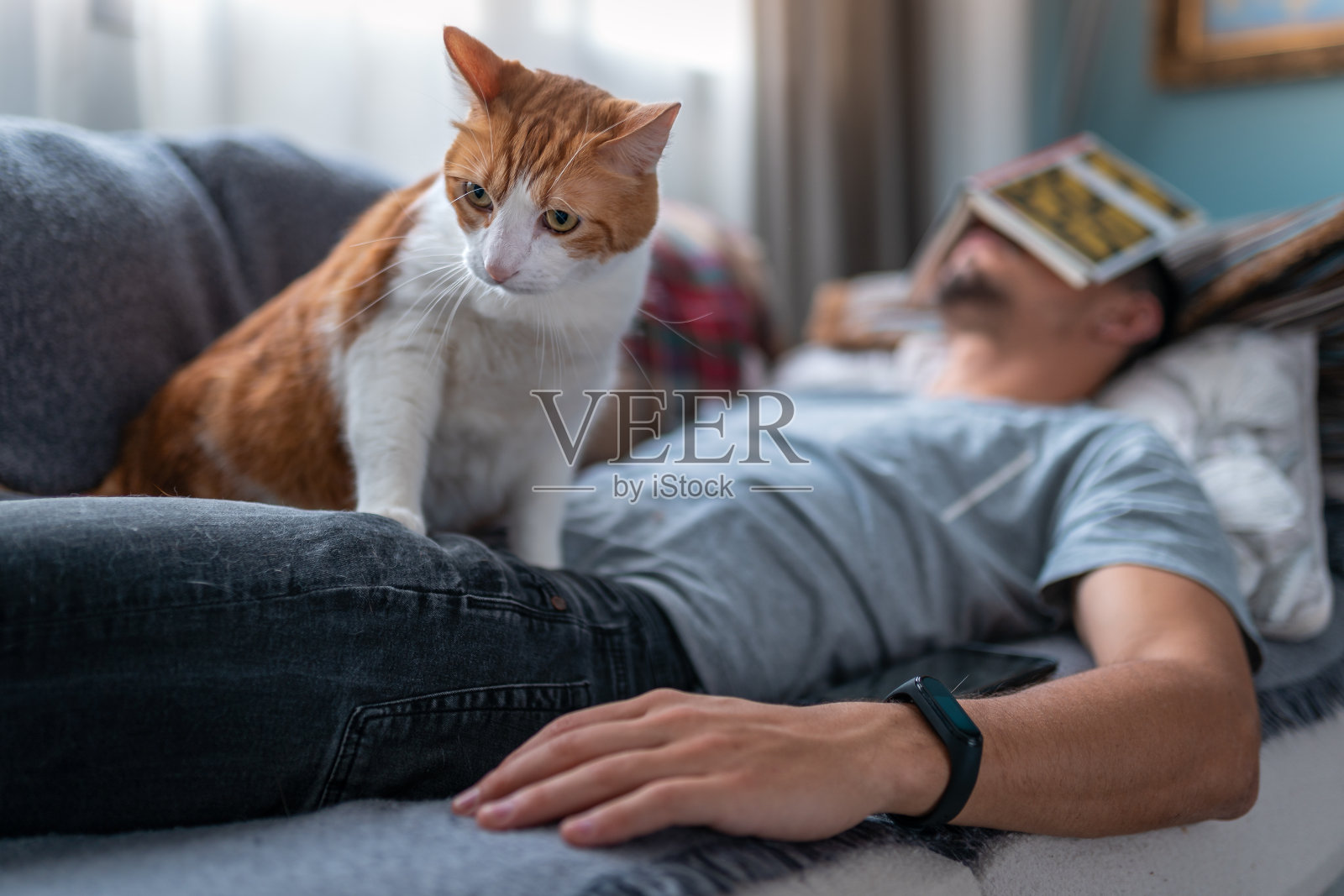 一个年轻人在沙发上和他的猫互动照片摄影图片