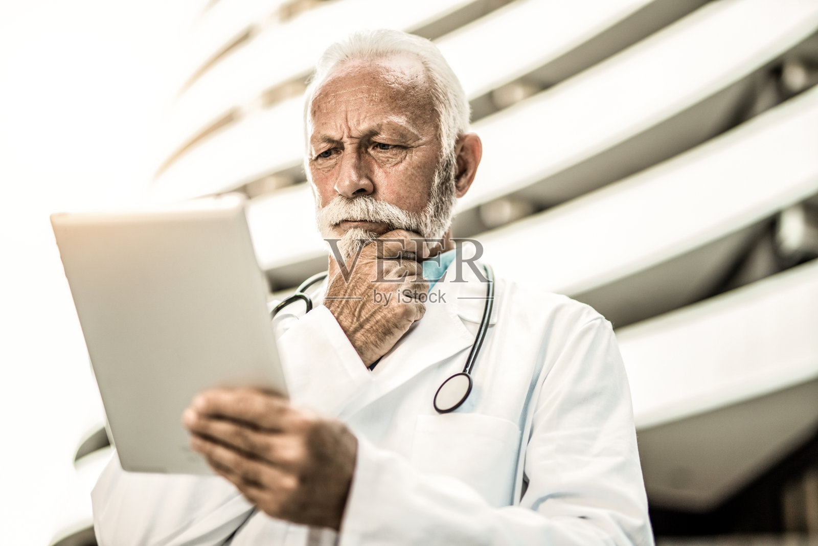 高级医疗专业人士使用数码平板电脑。照片摄影图片