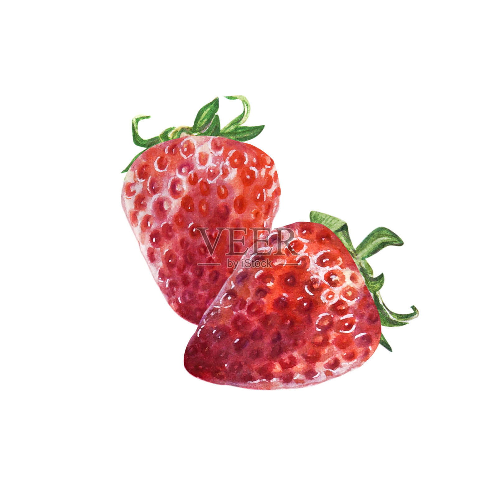水彩两红多汁的草莓。手绘食物插图。标志设计。水果打印。插画图片素材
