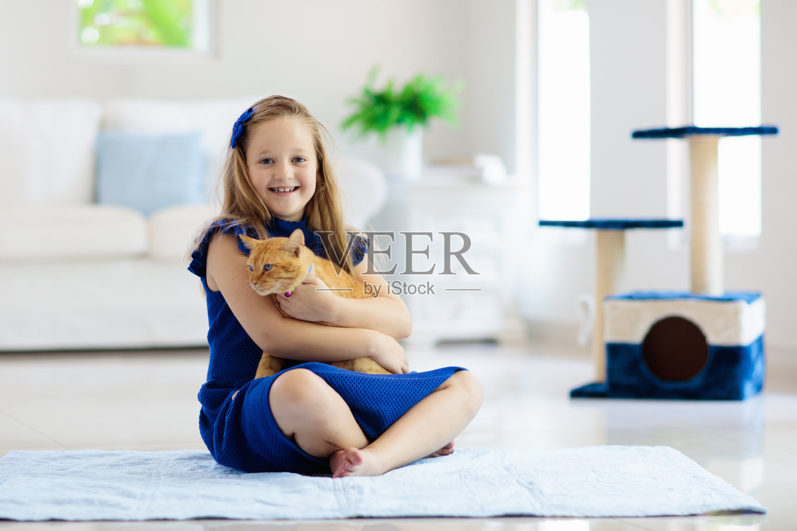 猫和小孩素材-猫和小孩图片-猫和小孩素材图片下载-觅知网
