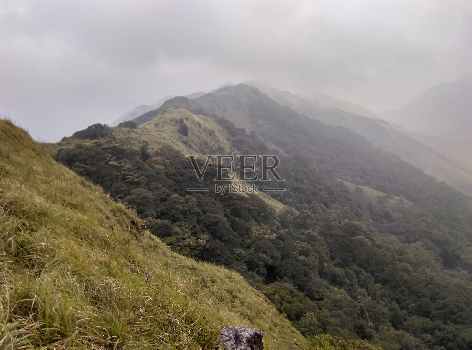 喀拉拉邦美丽的山谷和草原照片摄影图片