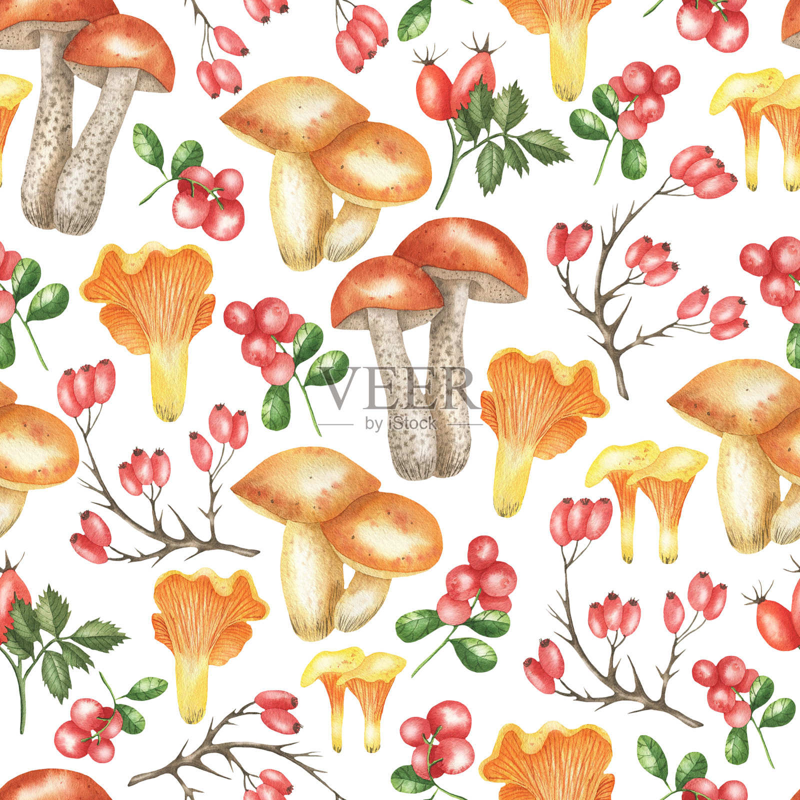 蘑菇和浆果图案。jpg插画图片素材