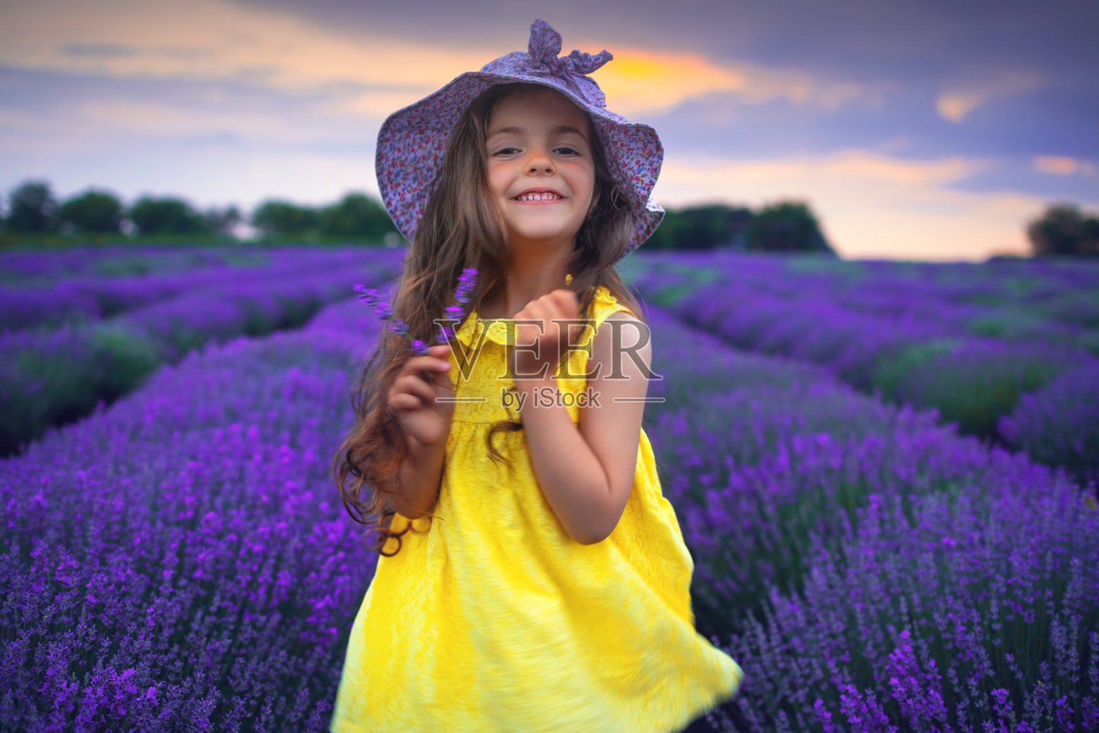 小女孩穿着裙子，戴着帽子，欣赏着日落时分盛开的薰衣草田照片摄影图片