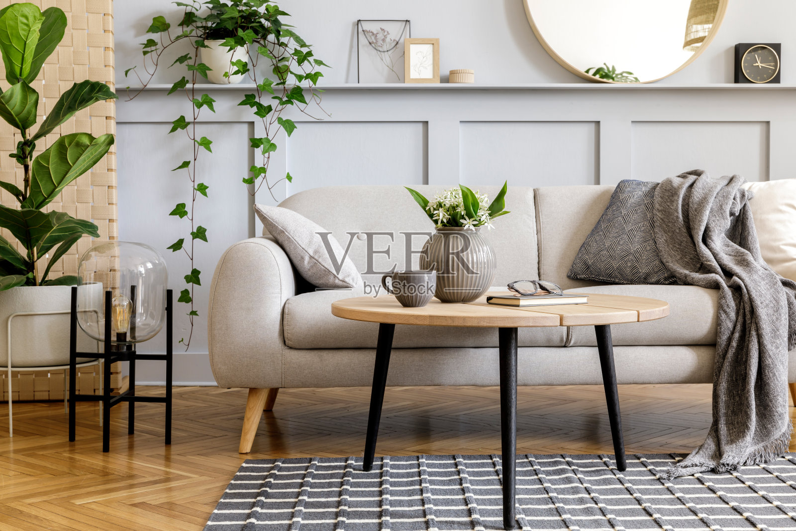 斯堪的纳维亚概念的客厅室内设计沙发，咖啡桌，盆栽植物，花，地毯，格子，枕头，架子，装饰和个人配件在现代家庭舞台。照片摄影图片