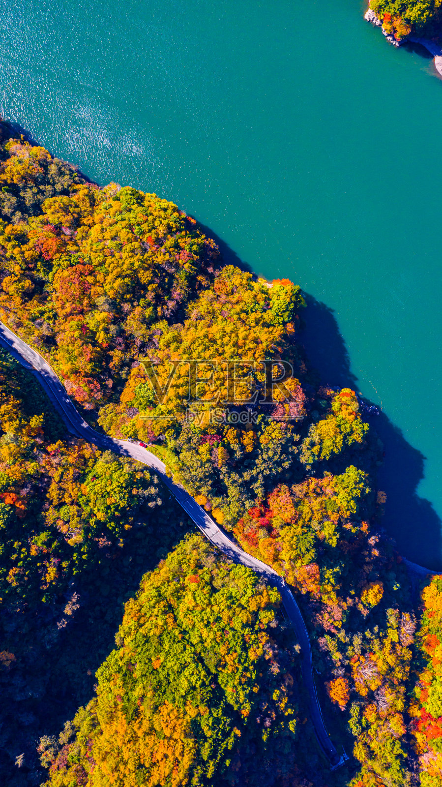 俯视图的道路的秋天在日本照片摄影图片