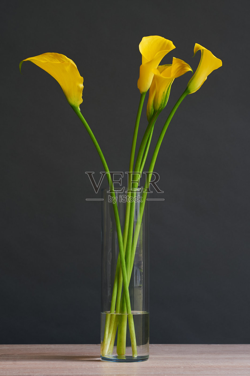 一束美丽的黄色马蹄莲花。照片摄影图片