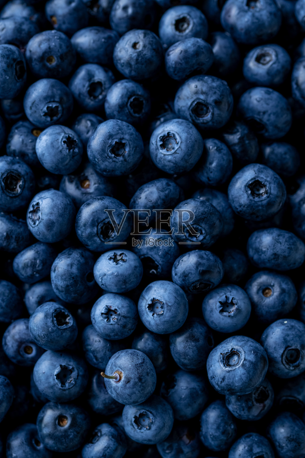 新鲜成熟的蓝莓背景。关闭视图。照片摄影图片