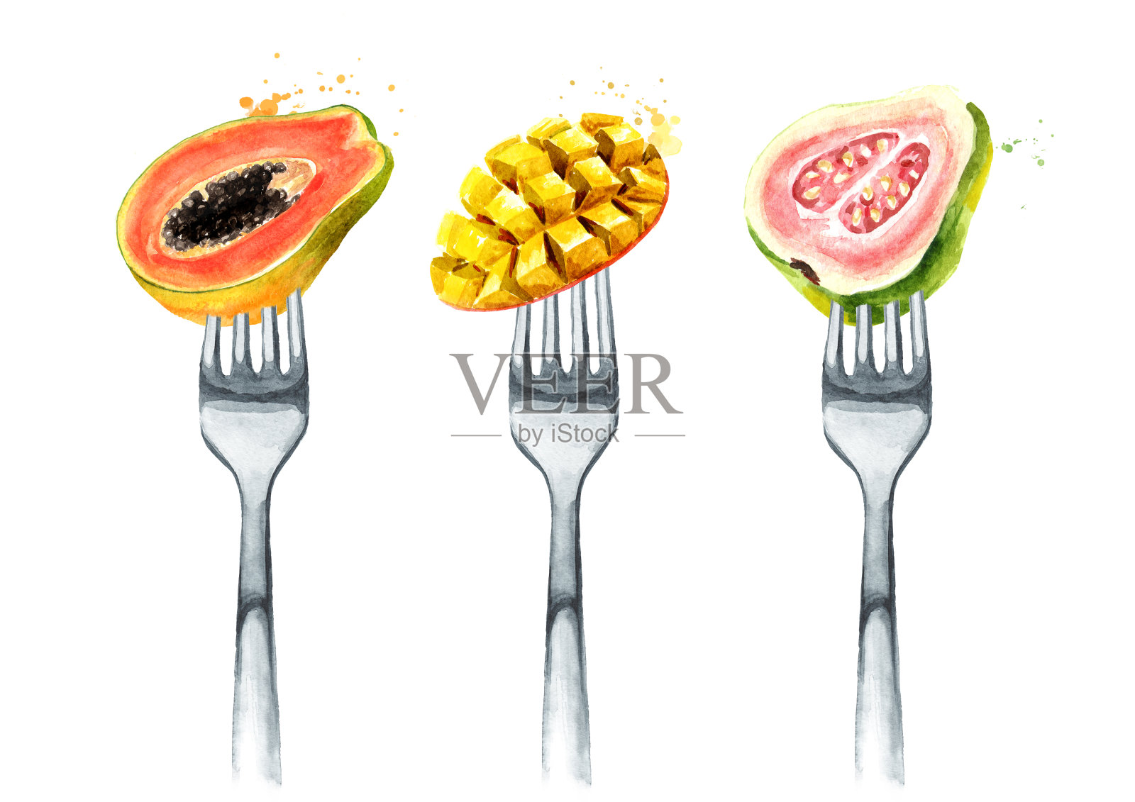 叉子上放着热带木瓜、番石榴、芒果。饮食观念与健康饮食。手绘水彩插图孤立的白色背景插画图片素材