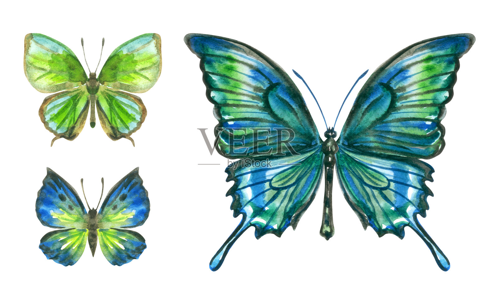 一套绿色的蝴蝶，水彩画在白色的背景，孤立。设计元素图片