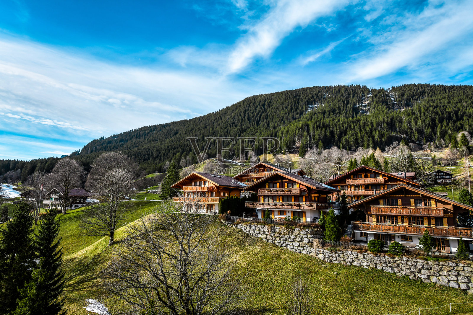 瑞士阿尔卑斯山下格林德沃的绿色牧场照片摄影图片
